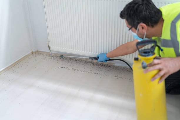 Wasp Removal Services in Lightstreet, PA